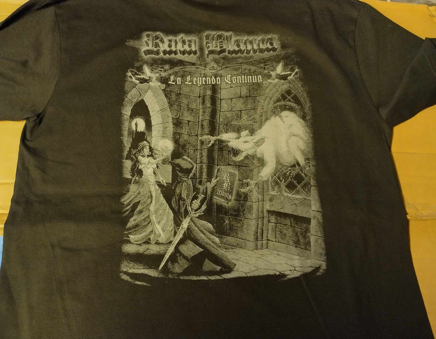 Hammerfall Hammer of dawn T-SHIRT